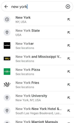 search location on google maps