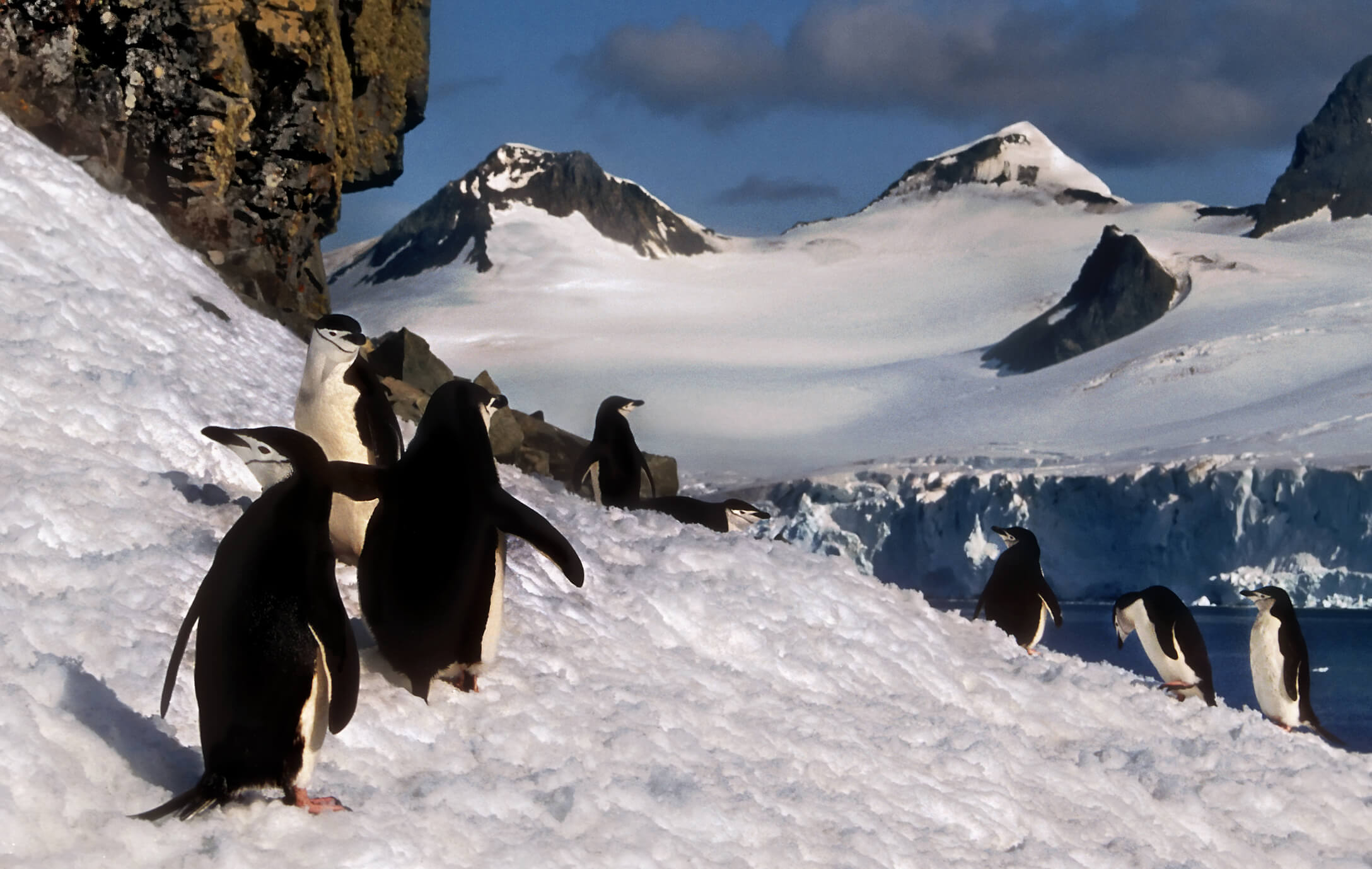 Antarctica the Biggest Desert in the World
