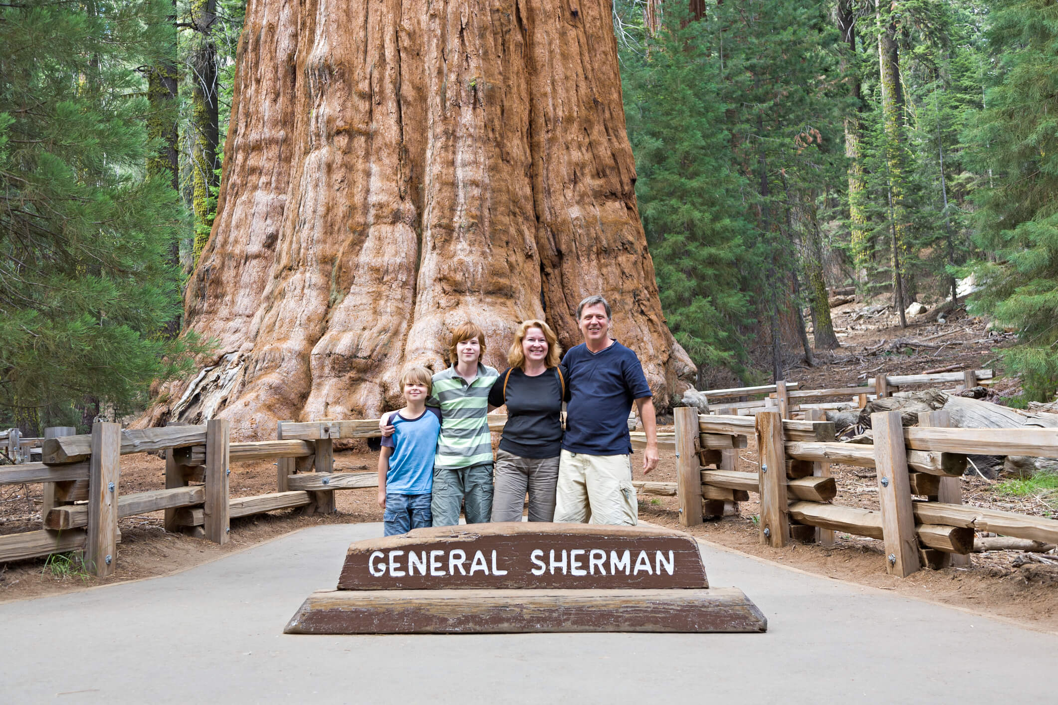 General Sherman Tree