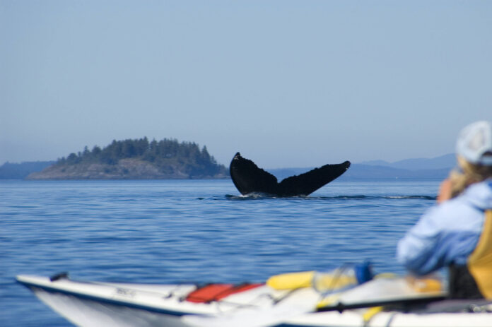 Mystic Beach on Vancouver Island