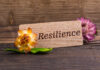 Building Blocks: Essentials for Financial Resilience Financial Resilience